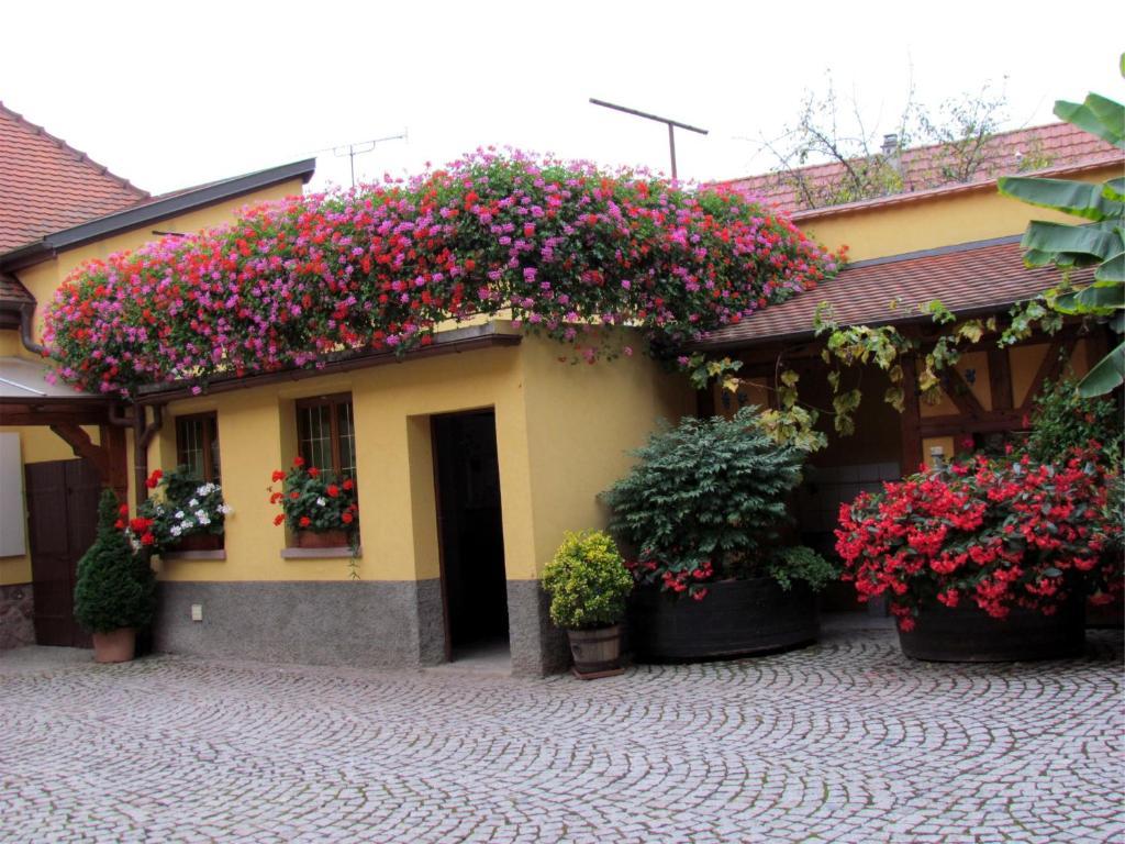 Gite Fruehmess Itterswiller Exterior photo