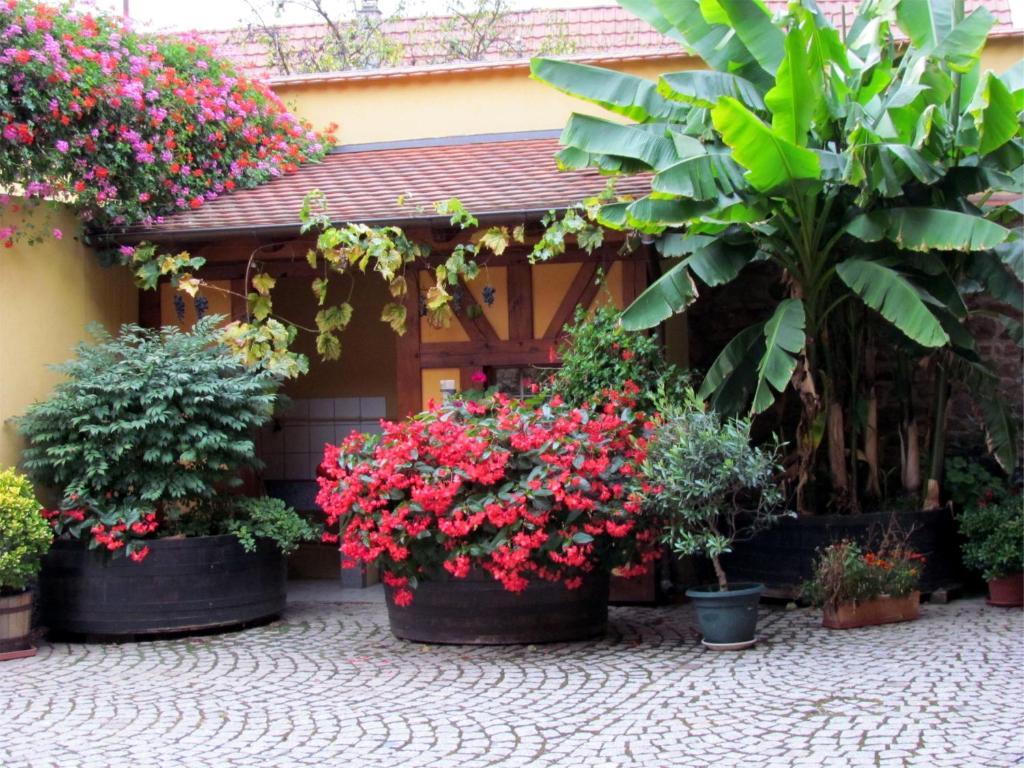 Gite Fruehmess Itterswiller Exterior photo